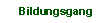 Bildungsgang